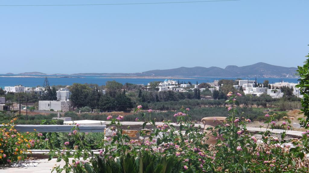 Narkissos Studios Alikí Oda fotoğraf