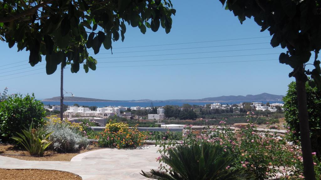 Narkissos Studios Alikí Oda fotoğraf